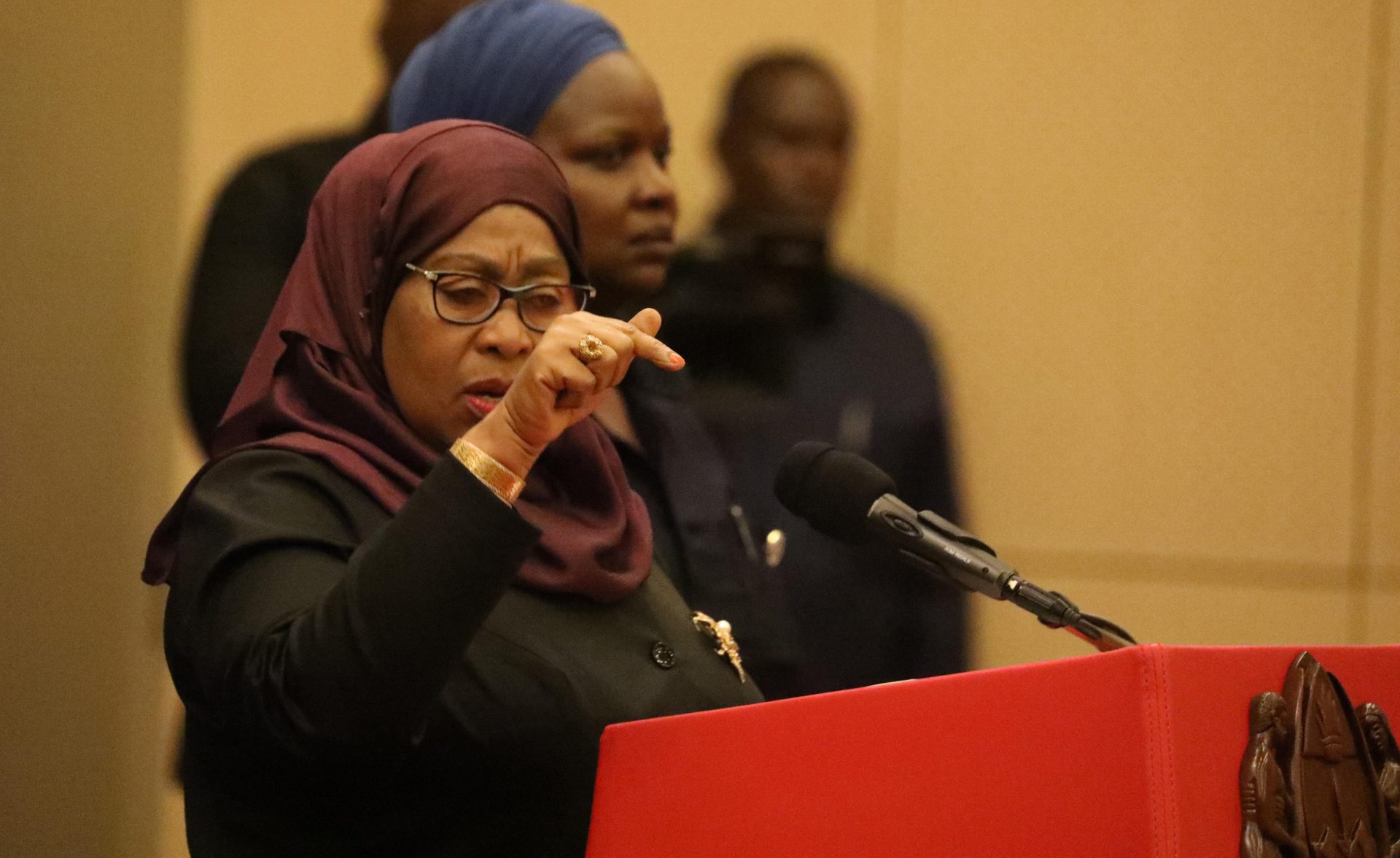 Tanzania: Mining Industry Welcomes President’s Recent Directive – Sub